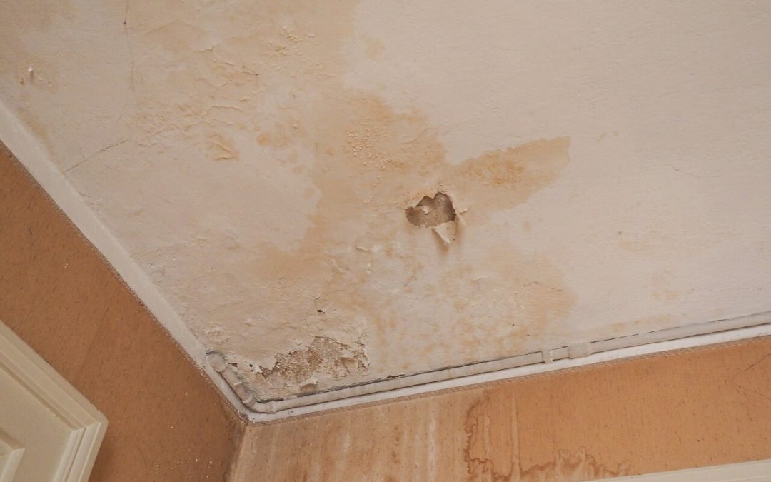 What to Do About Residential Water Damage